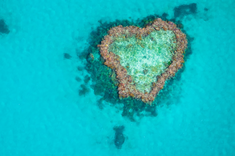 great barrier reef