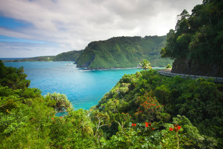 maui hotels